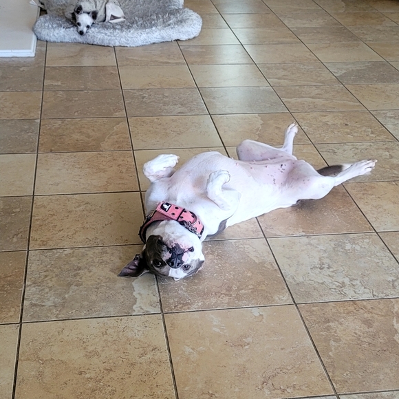 Welcome to my Closet! 💐 - Picture 8 of 14